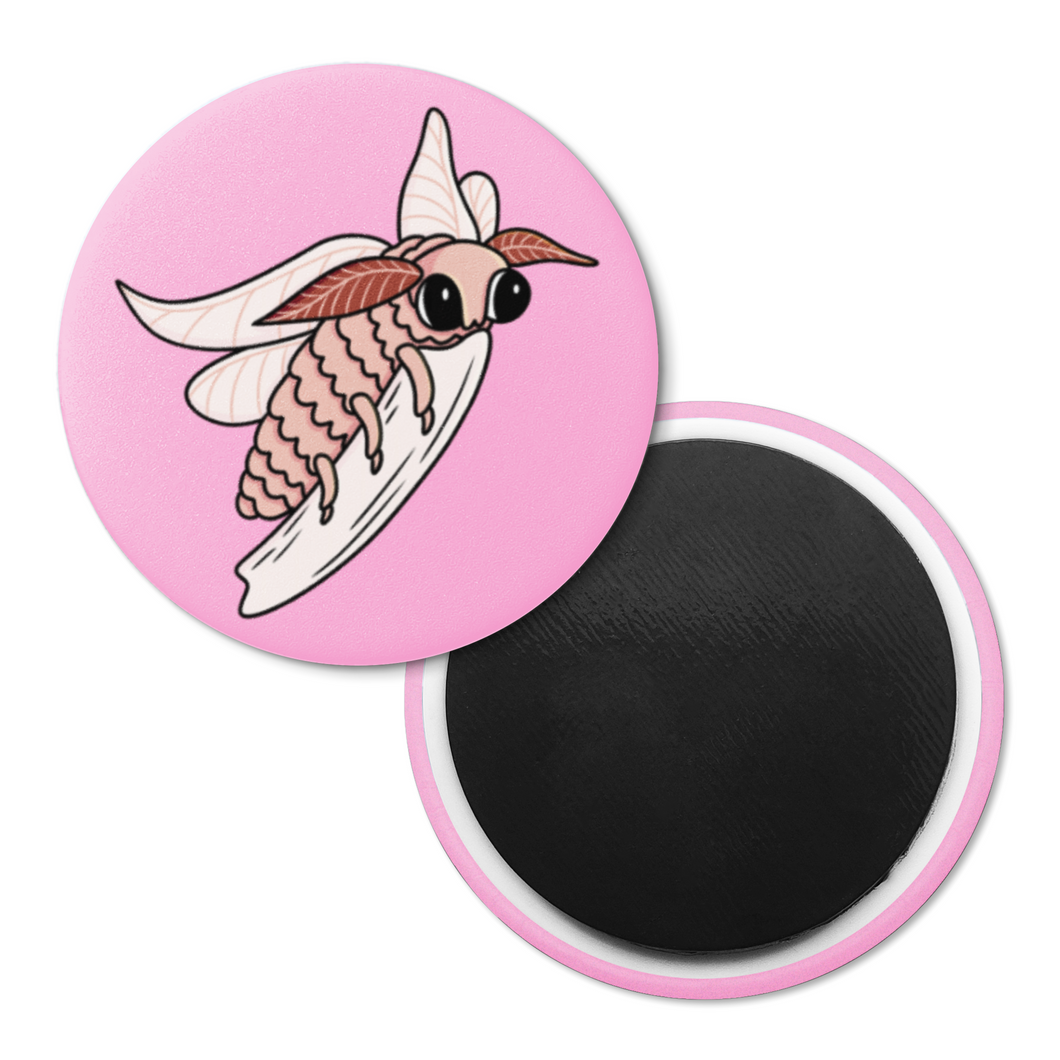 Silk Moth | Nocturnal Creatures | Decorative Magnet